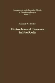 Electrochemical Processes in Fuel Cells