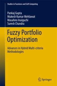 Fuzzy Portfolio Optimization : Advances in Hybrid Multi-criteria Methodologies