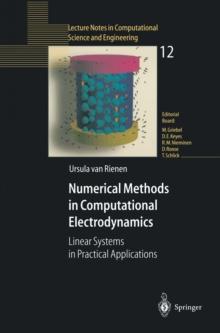 Numerical Methods in Computational Electrodynamics : Linear Systems in Practical Applications