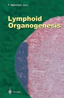 Lymphoid Organogenesis : Proceedings of the Workshop held at the Basel Institute for Immunology 5th-6th November 1999