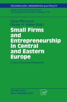 Small Firms and Entrepreneurship in Central and Eastern Europe : A Socio-Economic Perspective