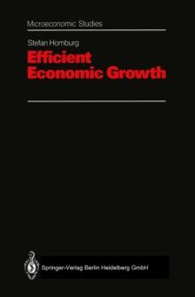 Efficient Economic Growth