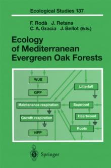 Ecology of Mediterranean Evergreen Oak Forests