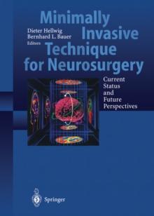 Minimally Invasive Techniques for Neurosurgery : Current Status and Future Perspectives