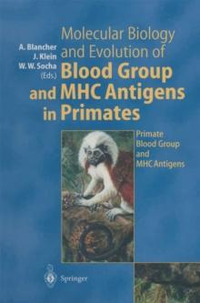 Molecular Biology and Evolution of Blood Group and MHC Antigens in Primates