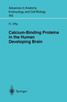 Calcium-Binding Proteins in the Human Developing Brain