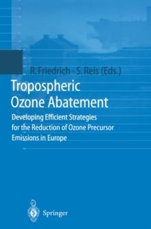 Tropospheric Ozone Abatement : Developing Efficient Strategies for the Reduction of Ozone Precursor Emissions in Europe