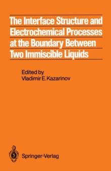 The Interface Structure and Electrochemical Processes at the Boundary Between Two Immiscible Liquids