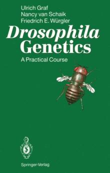 Drosophila Genetics : A Practical Course