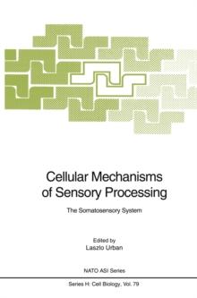 Cellular Mechanisms of Sensory Processing : The Somatosensory System