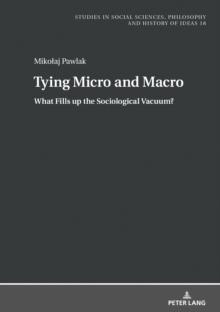 Tying Micro and Macro : What Fills up the Sociological Vacuum?