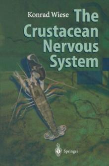 The Crustacean Nervous System