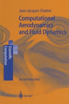 Computational Aerodynamics and Fluid Dynamics : An Introduction