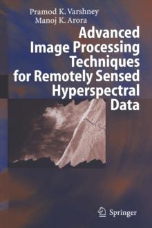 Advanced Image Processing Techniques for Remotely Sensed Hyperspectral Data