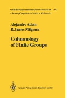 Cohomology of Finite Groups