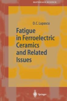 Fatigue in Ferroelectric Ceramics and Related Issues