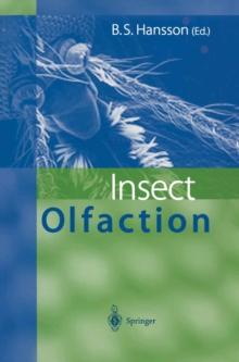 Insect Olfaction