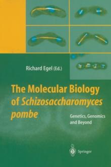 The Molecular Biology of Schizosaccharomyces pombe : Genetics, Genomics and Beyond