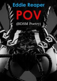 POV : A Book of BDSM Poetry