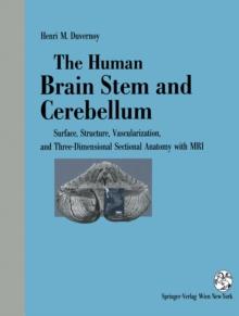 The Human Brain Stem and Cerebellum : Surface, Structure, Vascularization, and Three-Dimensional Sectional Anatomy, with MRI