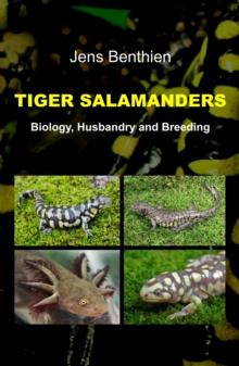 Tiger Salamanders : Biology, Husbandry and Breeding