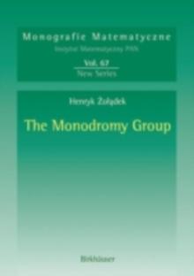 The Monodromy Group