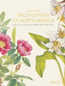 Wild Flowers of North America : Botanical Illustrations by  Mary Vaux Walcott