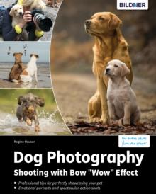 Dog Photography : Shooting with Bow "Wow" Effect