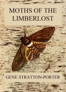 Moths of the Limberlost