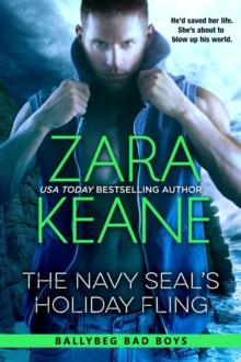 Navy SEAL's Holiday Fling