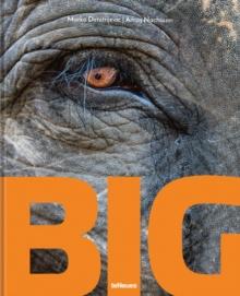 Big : A Photographic Album of the World's Largest Animals