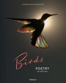 Birds : Poetry in the Sky