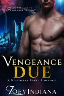 Vengeance Due - A Dystopian Rebel Romance : A Vengeance Novella