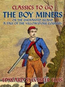 The Boy Miners, or, The Enchanted Island, A Tale Of the Yellowstone Country