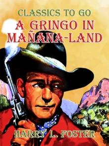 A Gringo in Manana-Land