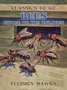 Bees, Shown to the Children