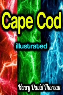 Cape Cod illustrated