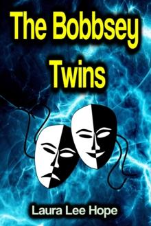 The Bobbsey Twins