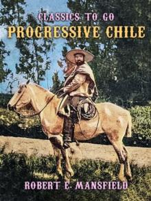 Progressive Chile