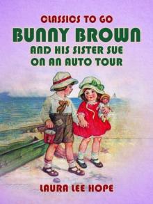 Bunny Brown And His Sister Sue On An Auto Tour