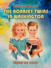 The Bobbsey Twins In Washington