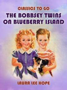 The Bobbsey Twins On Blueberry Island