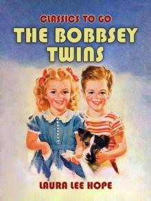 The Bobbsey Twins