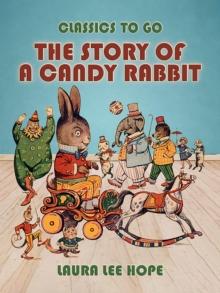 The Story Of A Candy Rabbit