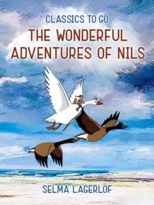 The Wonderful Adventures of Nils