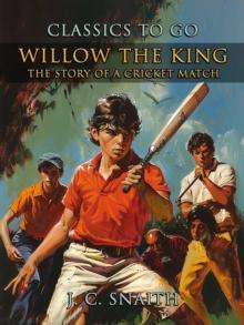 Willow The King, The Story Of A Cricket Match