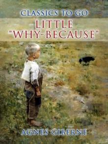 Little "Why-because"