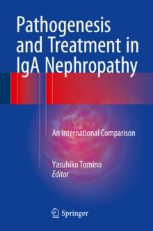 Pathogenesis and Treatment in IgA Nephropathy : An International Comparison