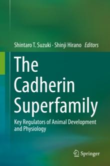 The Cadherin Superfamily : Key Regulators of Animal Development and Physiology