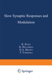 Slow Synaptic Responses and Modulation